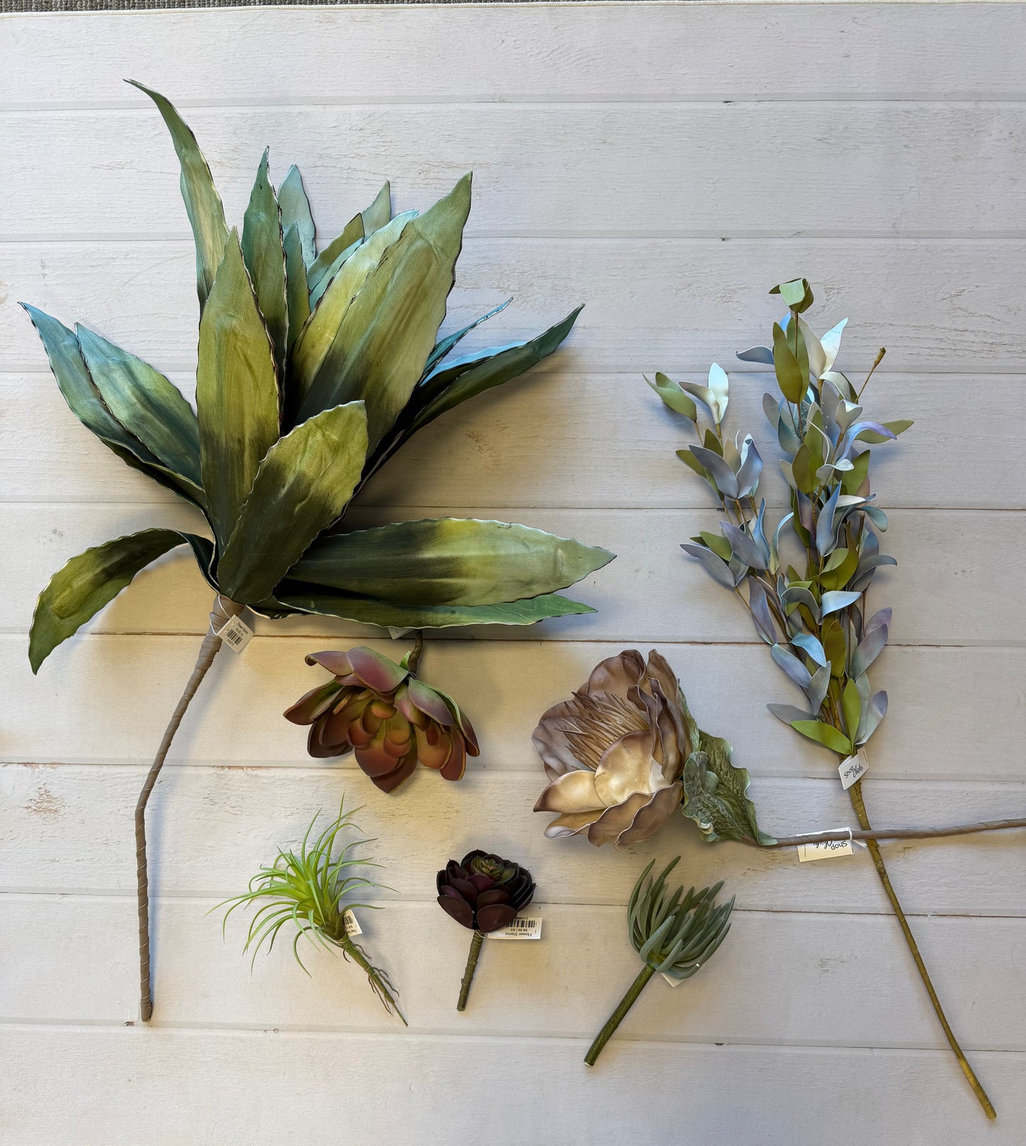 Flower Stems