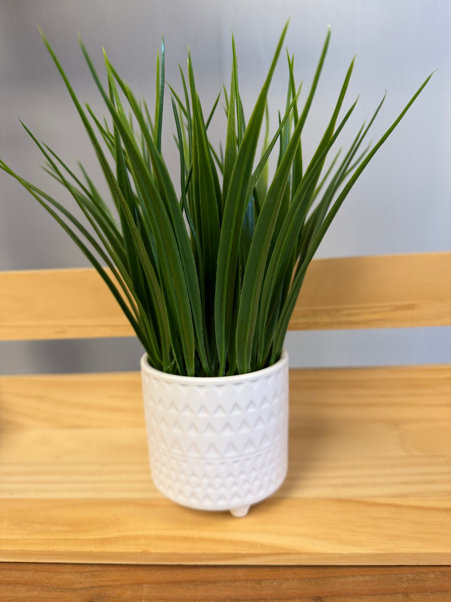 Grass Pot