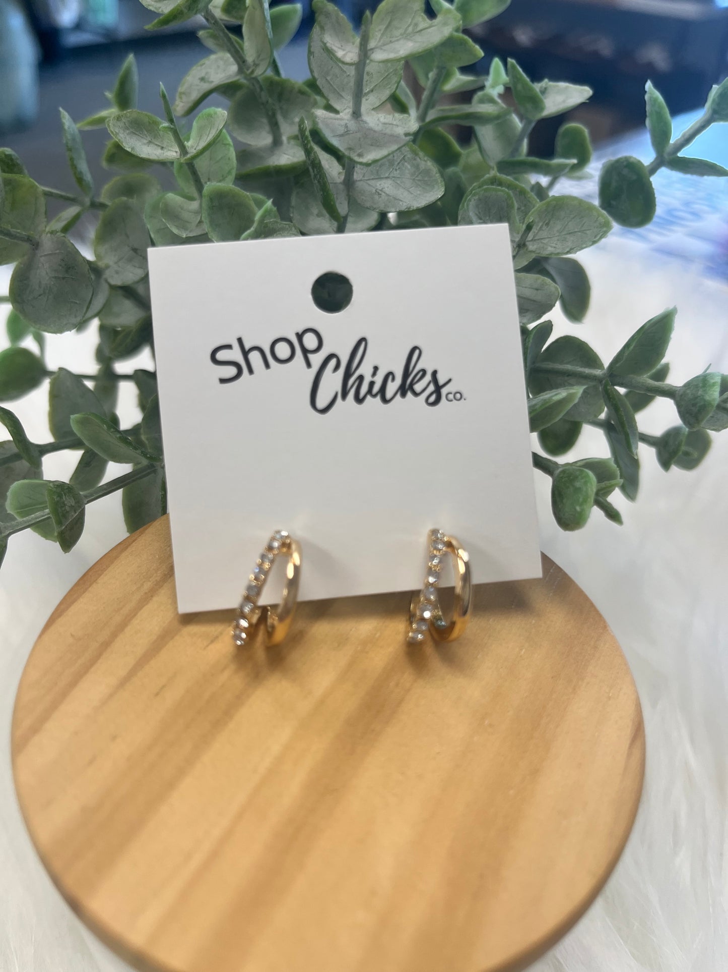 Double Hoop Crystal & Gold Earrings