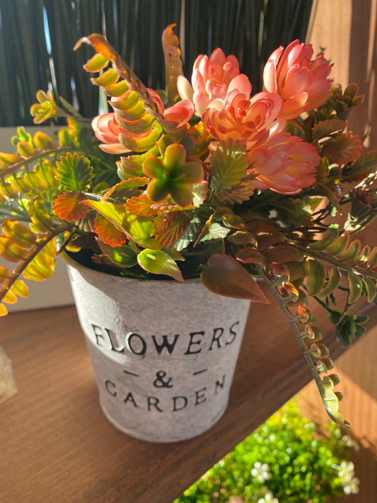 Flowers & Garden can