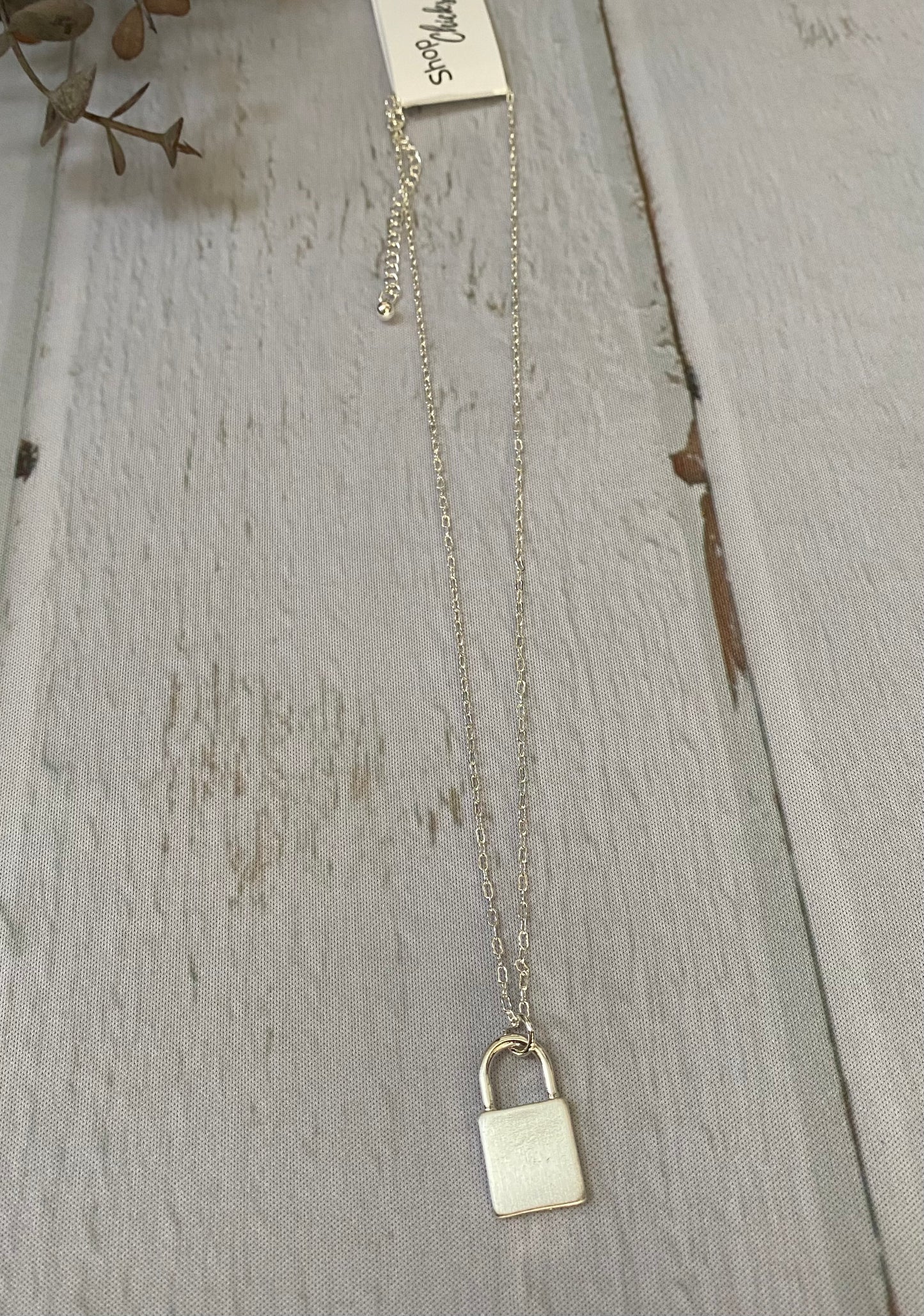 Thin Chain with Lock Necklace